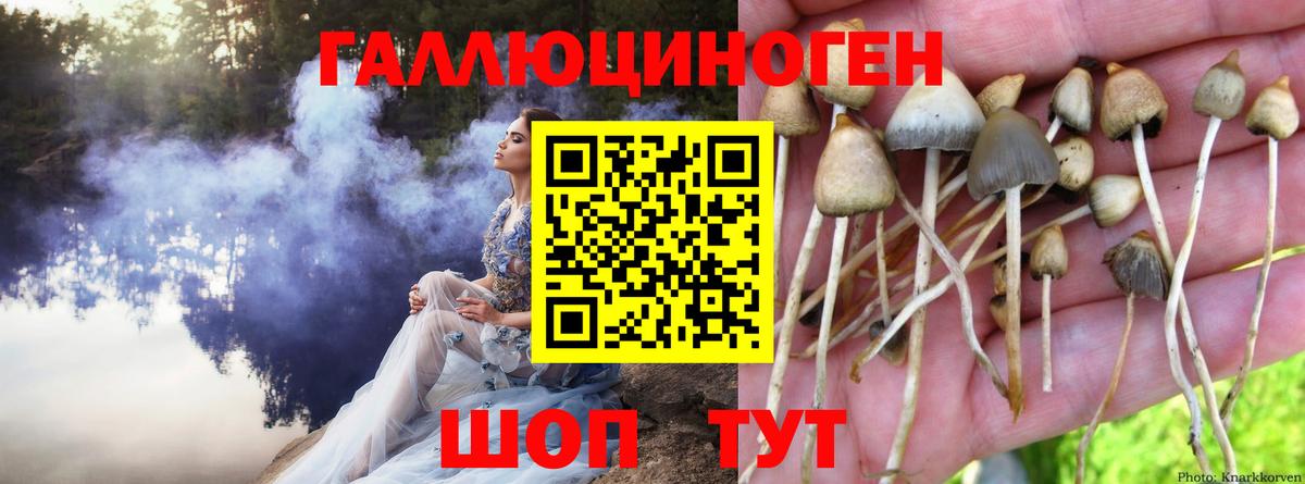 Галлюциногенные грибы Magic Shrooms Якутск