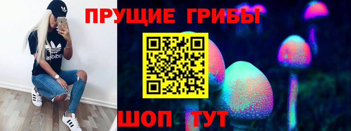 Якутск  Галлюциногенные грибы Psilocybine cubensis  Вход с VPN  Псилоцибиновые грибы мицелий 